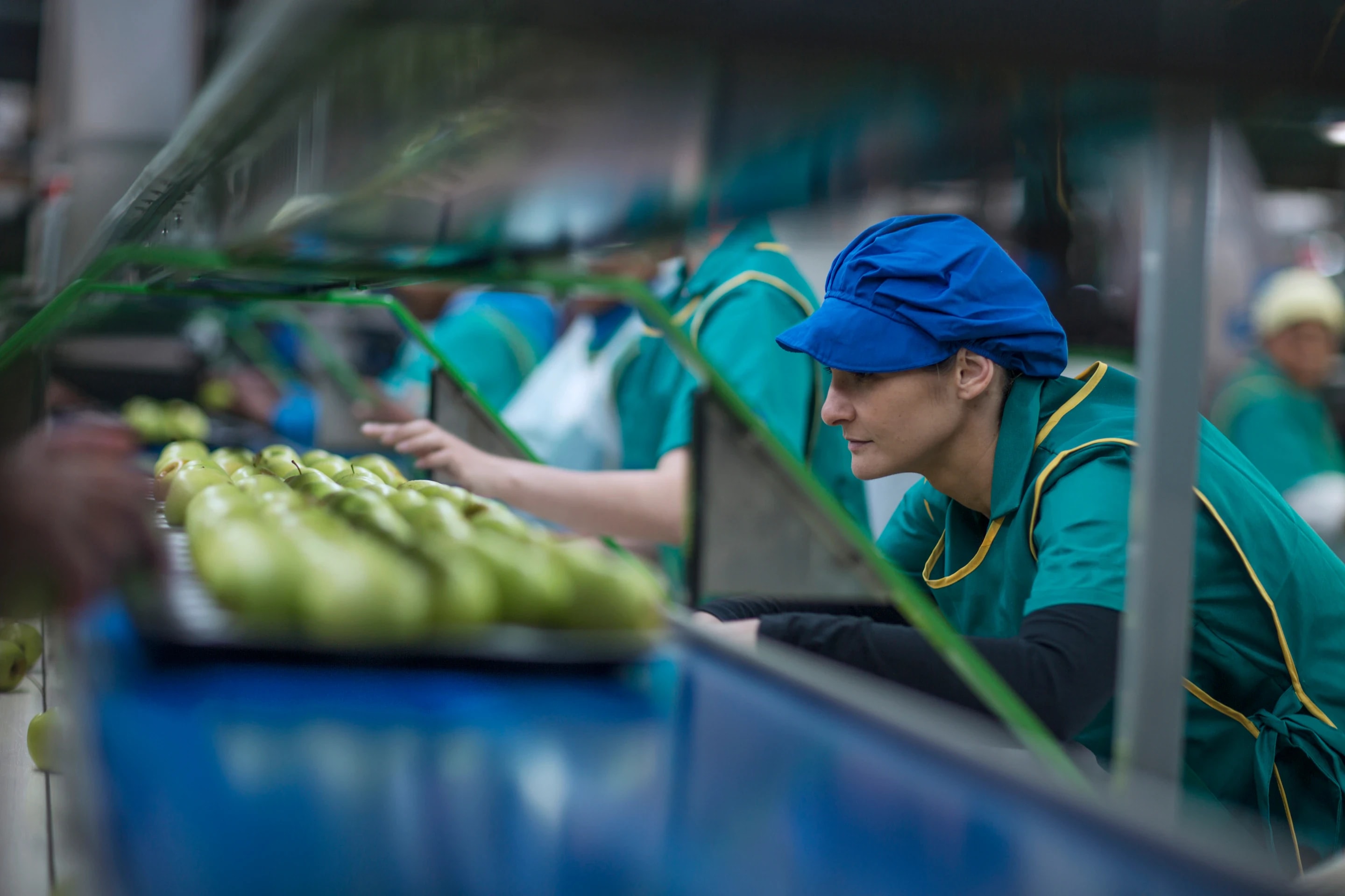 Worker in a hairnet checking produce on a packing line